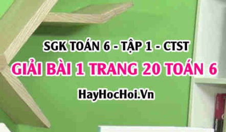 Giải bài 1 trang 20 Toán 6 Tập 2 SGK Chân trời sáng tạo